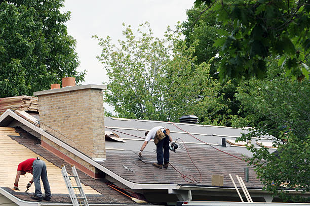 Best Roof Gutter Cleaning  in Centreville, VA